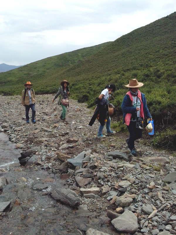 7��22�����m�ݴ�W�Gɫ�I�F꠹������c���򌍵��{����꠆T������?sh��)ص��������f�ֲ����݈���r������ι�B(y��ng)���h(hu��n)��׃���ȷ����M���˴��µ��˽����D��꠆T���ڮ�?sh��)��M��ֲ����R������