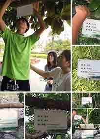 �K���r(n��ng)�WԺ�O(sh��)ӋУ�@ֲ����Ƭ�������K�r(n��ng)�Gɫ���}