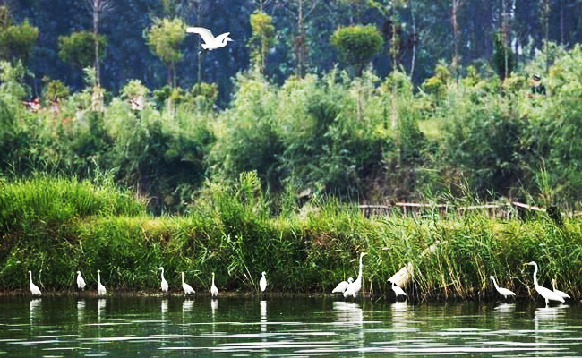 ͯԒ�ϼң���������Ԋ�����Ϙ���f����