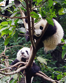 ����؈���B����