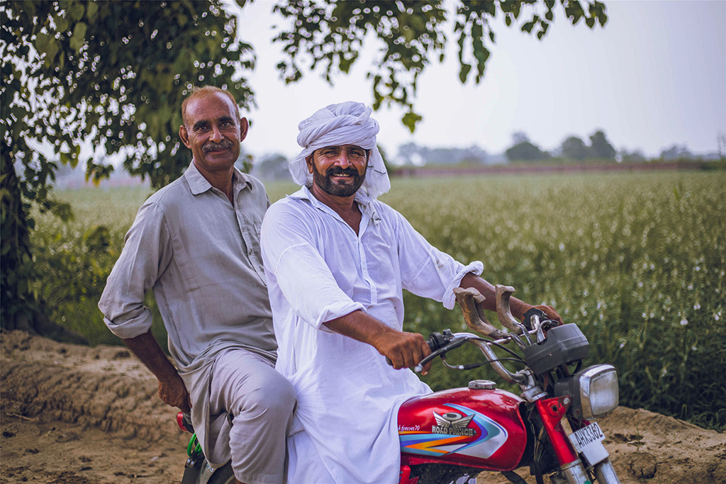 芝麻種植基地給當地人帶來更多就業機會。（人民網記者 薛丹攝）